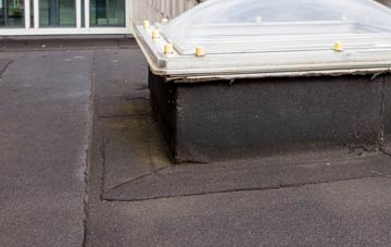 disadvantages of Duffryn flat roofs