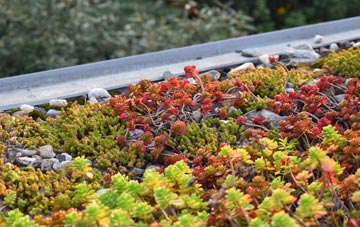 the cost of Duffryn green roof installation