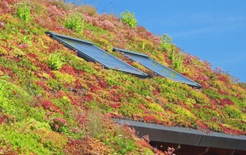 Duffryn living roof systems