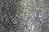 Duffryn fibreglass roof work